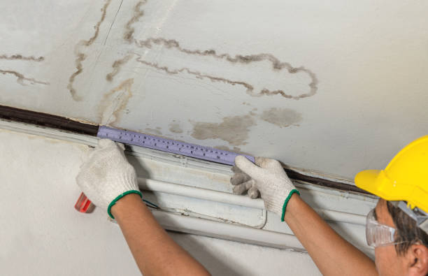 Reliable Structural Drying contractor in Caseville, MI by Water Damage Irwin